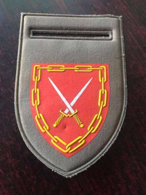 SA INFANTRY LOG TUPPER FLASH- ONE PIN