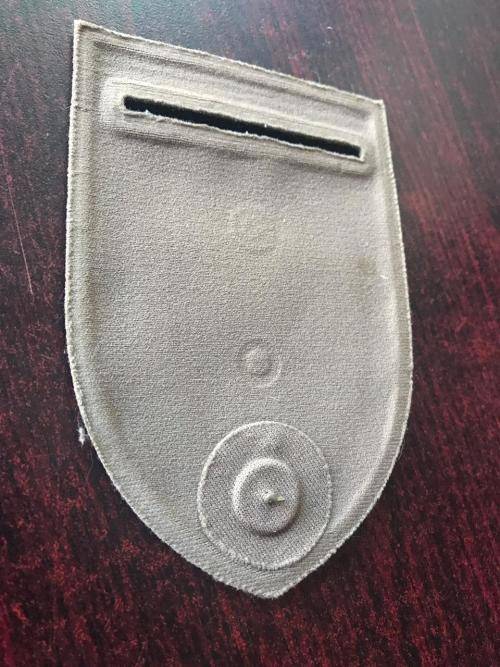 SA INFANTRY LOG TUPPER FLASH- ONE PIN