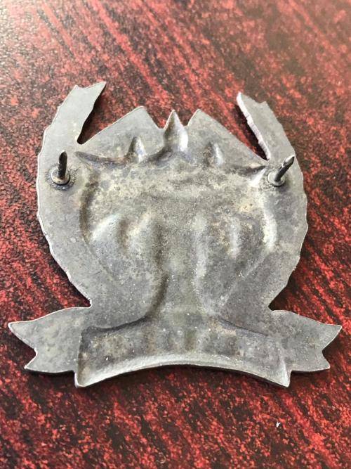 AMATOLA COMMANDO GREY METAL CAP BADGE- 2 PINS