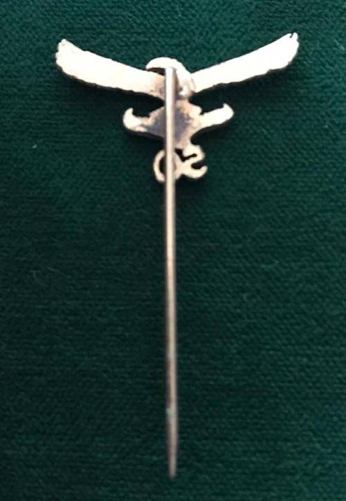 SAAF 50 YEARS PIN