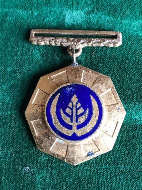 PRO PATRIA MEDAL -EARLY SWIVEL SUSPENDER AND ENAMEL FACE- NO RIBBON