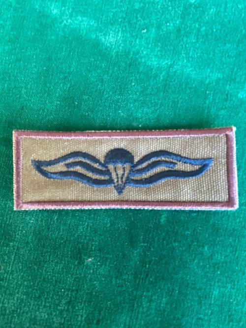 SA PARA CLOTH WING-FIELD DRESS-EMBROIDERED