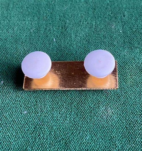 SWA TECHNICAL SERVICES CORPS BERET BAR- 2 PINS- ORIGINAL