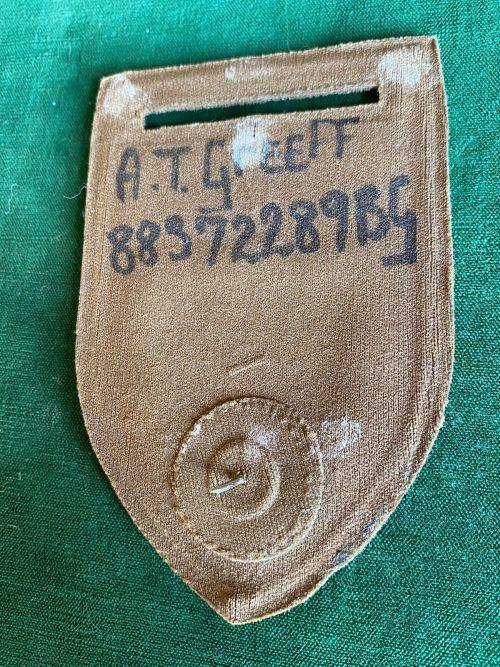 1SA INFANTRY BATTALION WITH CHIEF OF THE ARMY COMMAND BAR-TUPPER FLASH- ONE PIN