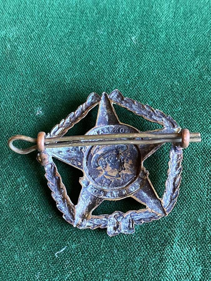 REGIMENT BOTHA,GILDING METAL CAP BADGE-WORN POST 1962- 2 LUGS