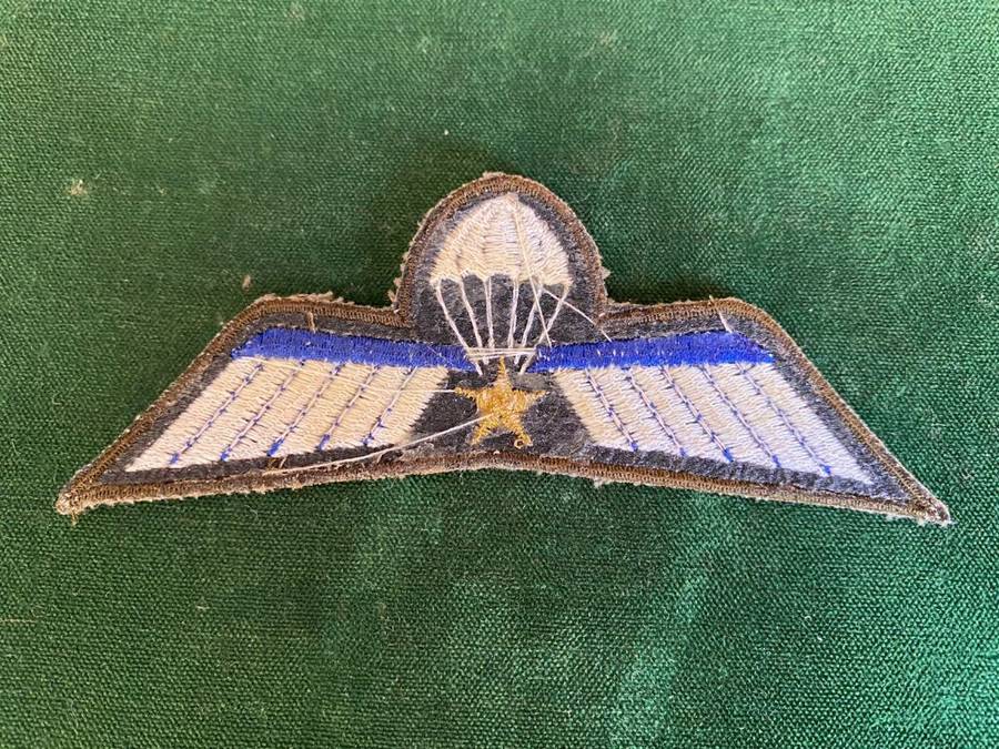 NETHERLANDS A WING PARA WING