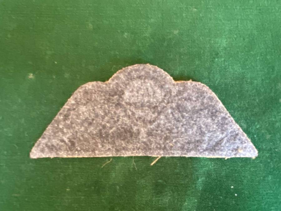 ARMY PARA WINGS-VARIATION ON BREVET A