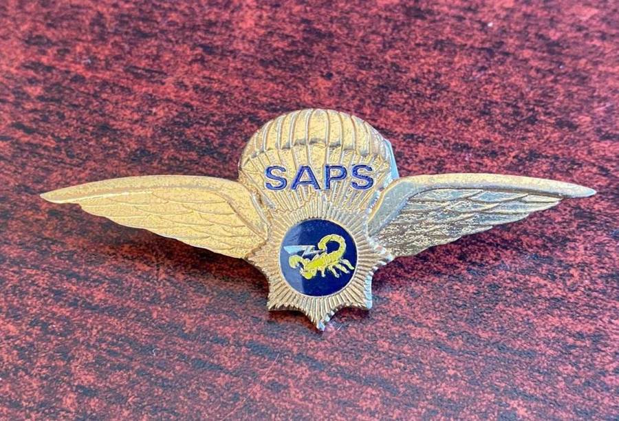 VLAKPLAAS,POLICE,PARA WING- 2 PINS