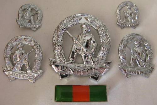 SA COMMANDO CHROMED CAP, COLLARS, MESS DRESS & BERET BAR WORN POST 1976