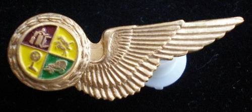 SAAF NAVIGATOR MESS DRESS WING 1960-1990,S-2PINS