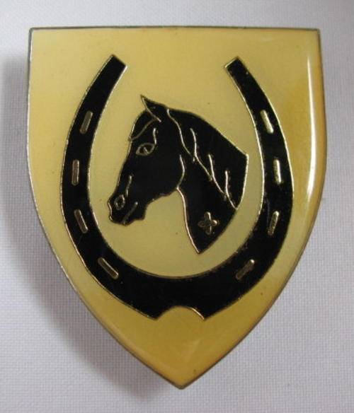 SADF EQUESTRIAN CENTRE-ORIGINAL- 1 PIN MISSING