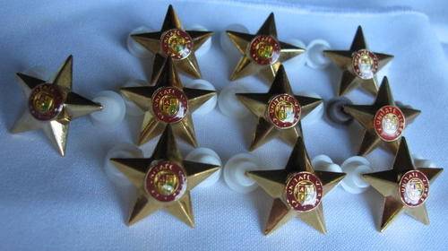 OFFICERS 5 POINT STAR IN GILT-NORMAL SIZE-SELLING 10 TOGETHER-ALL PINS INTACT