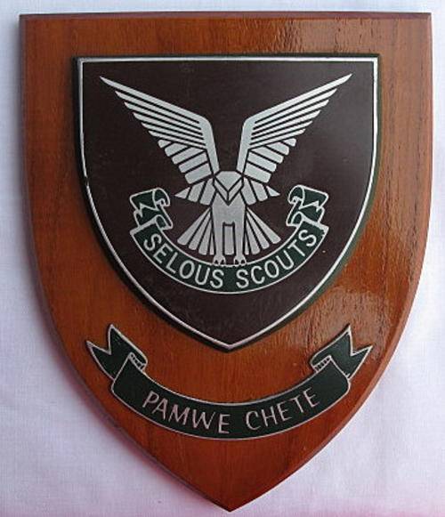 RHODESIAN SELOUS SCOUTS ORIGINAL ENAMEL PLAQUE MEASURES 14,5 x 18CM