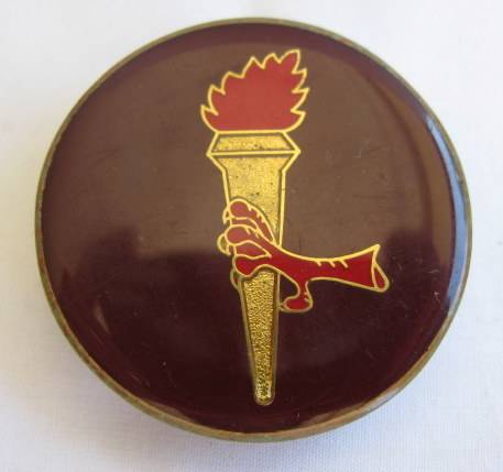44 PARACHUTE BRIGADE PATH FINDER FLASH - 2 PINS