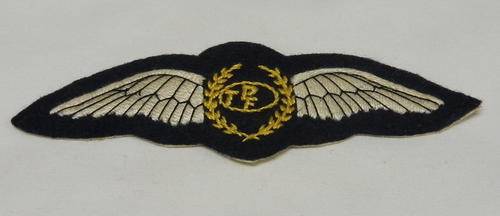 UNKNOWN PILOTS WING - EMBROIDERED ON FELT