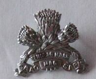 SA ARMOURED CORPS CHROMED CAP BADGE WORN 1976 - 1996 - 2 LUGS