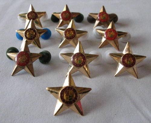 SA ARMY OFFICERS 5 POINT STAR IN GILT - 10 IN TOTAL - PINS INTACT