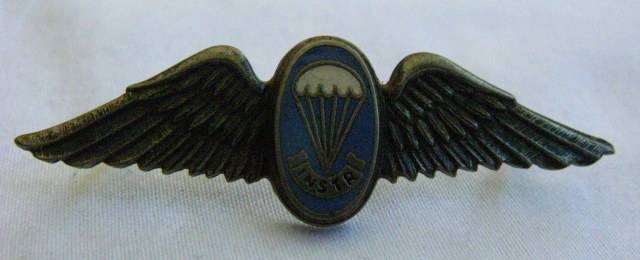 FREE FALL PARATROOPER INSTRUCTOR MESS DRESS WING - DARK WING VARIATION - 2 PINS