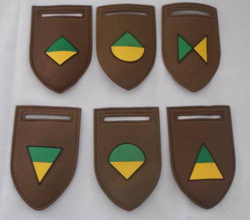 SA INFANTRY TACTICLE TUPPERS FOR: ECHO/HQ / DELTA / GOLF / ALPHA COMPANY - PINS INTACT