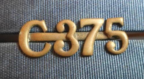 SA POLICE BRASS NUMERAL RANK NUMBER- 2 LUGS