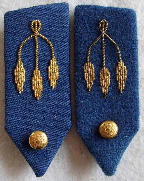 OLD S.A.P. GORGETS FOR THE RANK OF MAJOR.