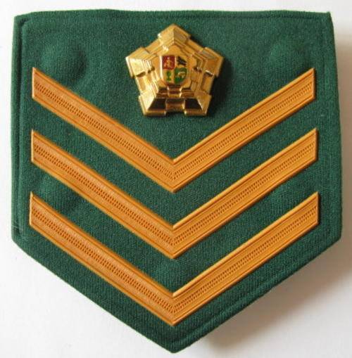 NO. 1982)  S.A. PRISONS SERGEANT'S FIELD DRESS RANK.
