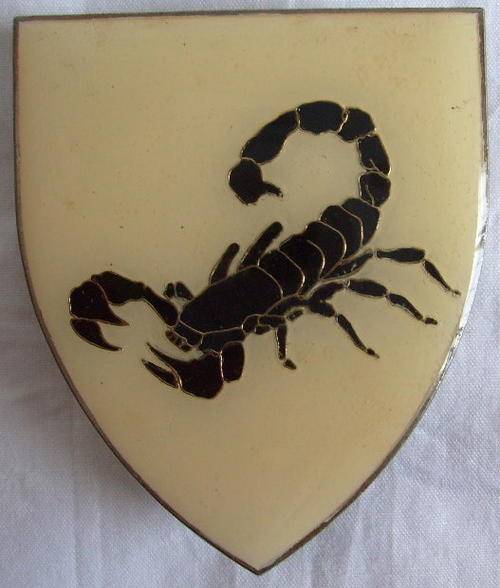 (3216) GATSRAND COMMANDO WHITE TYPE SHOULDER FLASH - ORIGINAL - 3 PINS.