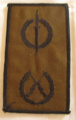 NO. 5127)  COMBINED OPS & MARKSMAN QUALIFICATION BADGE - ORIGINAL - PROPOSED 1996 NEVER ADOPTED.