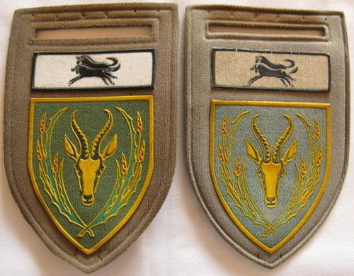 FLASH - 5 S.A. INFANTRY PAIR OF SHOULDER FLASHERS - BOTH WITH PINS.