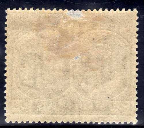 ST KITTS-NEVIS 1920-22 KGV 2d SLATE-GREY MM 2 SPOTS OF THINNING. SG 27. CAT 3,25 POUNDS. (2018)
