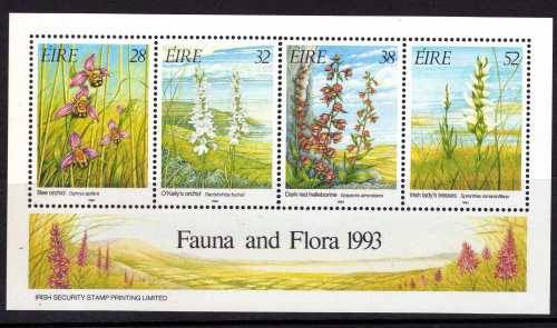 IRELAND 1993 "IRISH ORCHIDS" MINI SHEET UMM. SG 875. CAT 5 POUNDS.