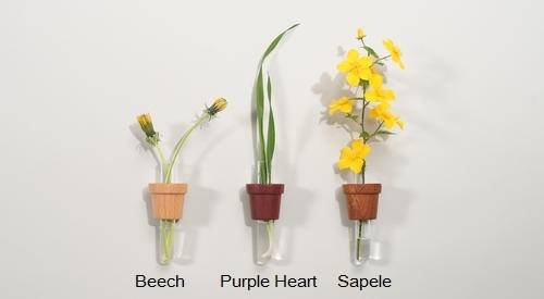 funshop smart pot vase flower gift wood decor christmas present beech glass home