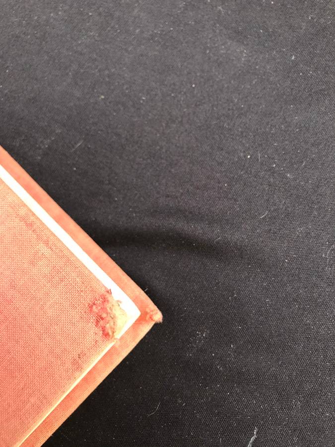 WILD FLOWERS OF THE WORLD,