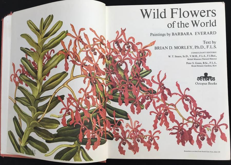 WILD FLOWERS OF THE WORLD,