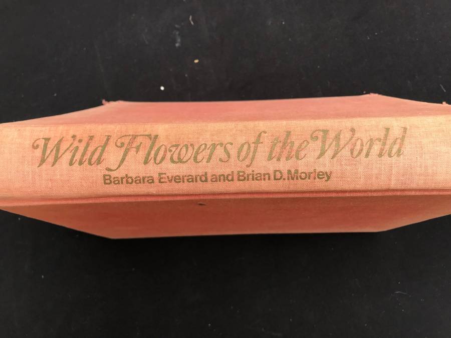 WILD FLOWERS OF THE WORLD,