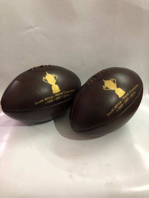 Limited Edition World Champions Leather Rugby Ball ** SPRINGBOKS**