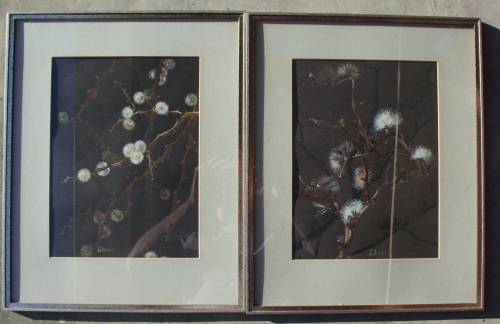 Original Botanic Paintings Namibia 1985 x 2