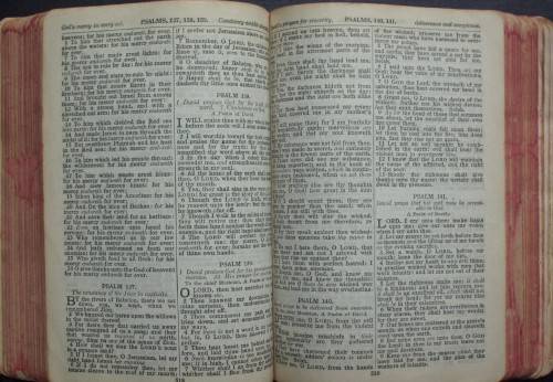 Bible - The Holy Bible - The World Publishing Company - USA - Vintage - Undated