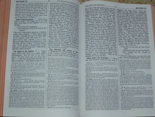 Bible - The New American Bible - St Josephs Edition - 1987 - Catholic