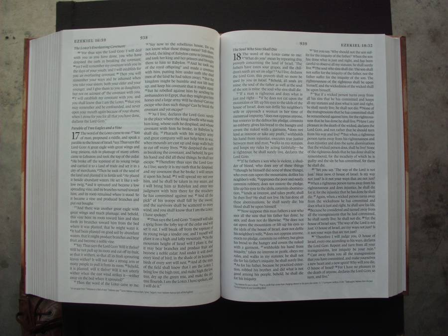 Bible/Book - Devotional Bible - Oswald Chambers - 2007