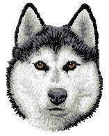 med blue  Face cloth siberian Husky     Dog