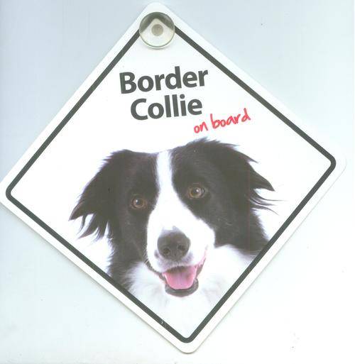 Plastic sign border collie