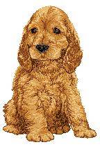 Dog EMBROIDERED  white TOWELCocker Spaniel whole