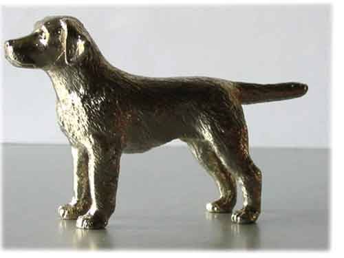 Dog Model -Labrador