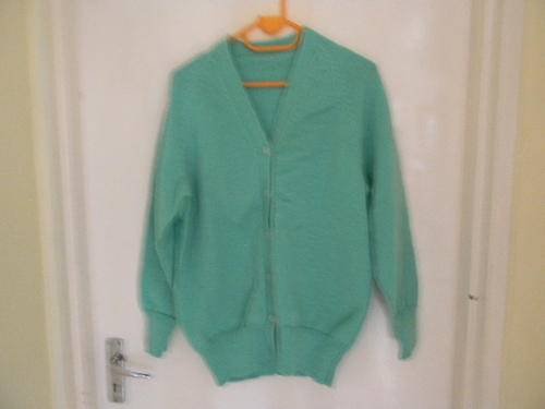 Lovely lady;s jersey in green color size 18