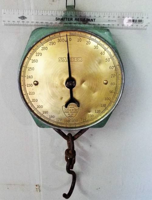 WOW nice big Salter scale 300lb