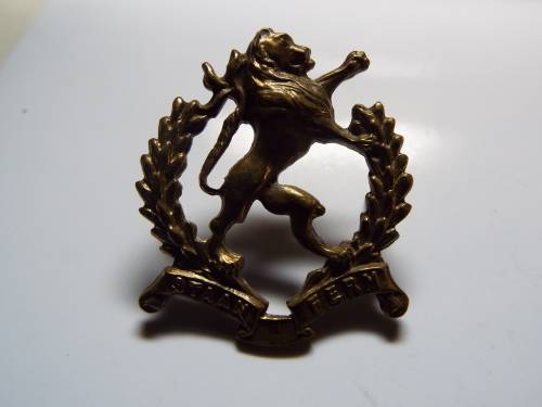 NICE REGIMENT HIGHVELD  BADGE