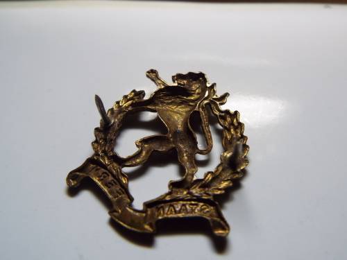 NICE REGIMENT HIGHVELD  BADGE