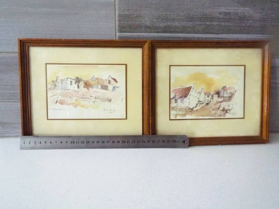 Beautiful!!  pair yes 2 x framed art