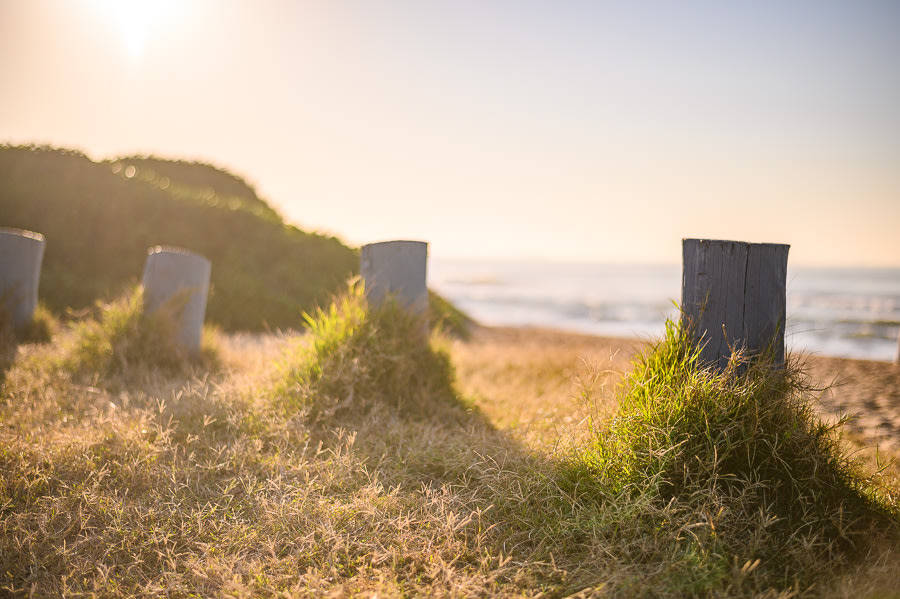 Nikon 50mm f1.8g